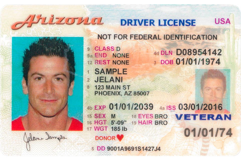 arizona drivers license renewal seniors